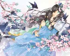 91抖音成年版官方网站